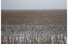 Property photo 64 - Kansas Land Auction - 960 Acres - 7 Farms in 3 Counties
